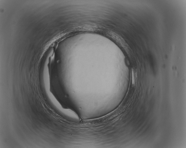 X0000084010675200703161714