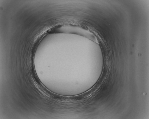 X0000084010677200703161714