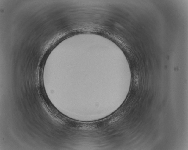 X0000084010678200703161714