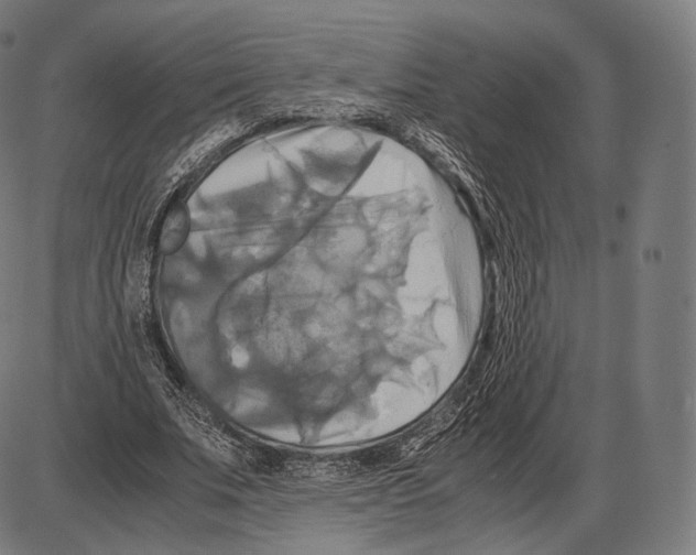 X0000084010679200703161714