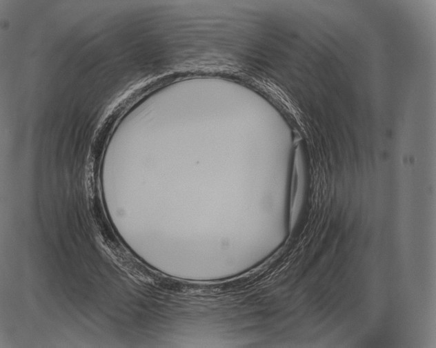 X0000084010680200703161714