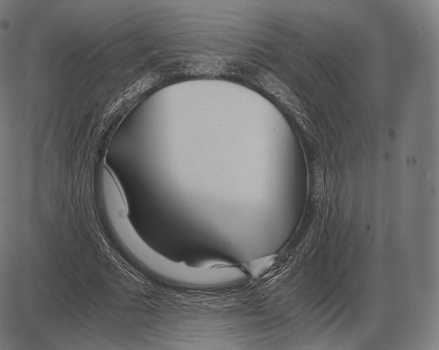 X0000084010681200703161714