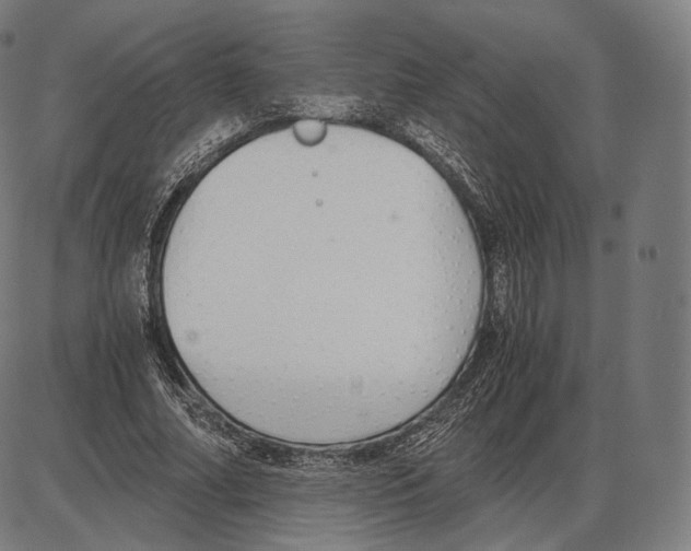 X0000084010682200703161714