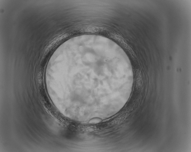 X0000084010683200703161714