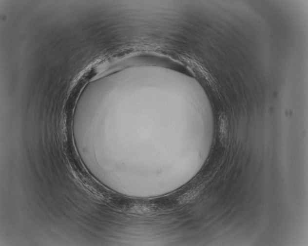 X0000084010684200703161714