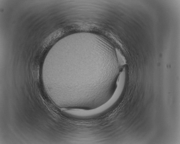 X0000084010685200703161714