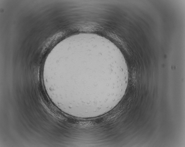 X0000084010686200703161714