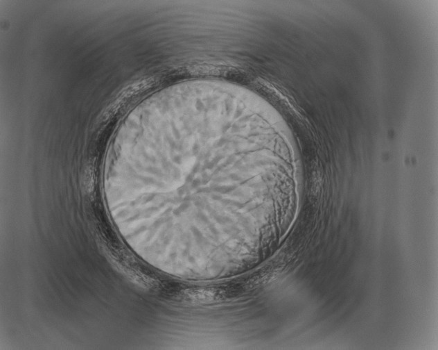 X0000084010687200703161714