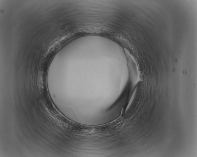 X0000084010688200703161714