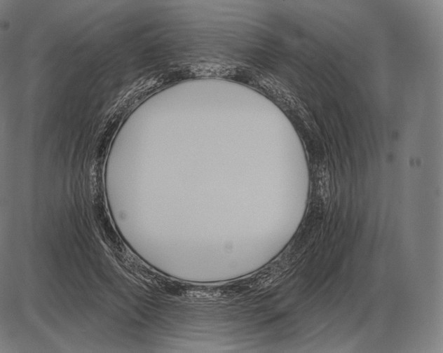 X0000084010690200703161714