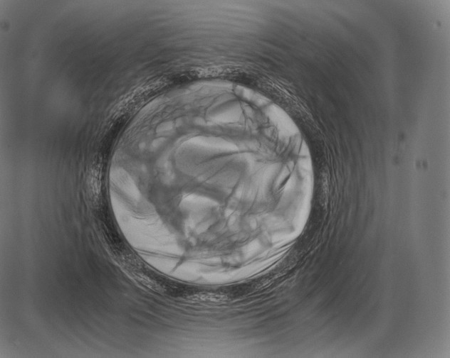 X0000084010691200703161714