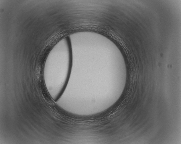 X0000084010693200703161714