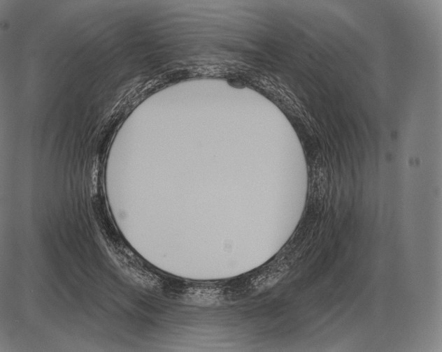 X0000084010694200703161714