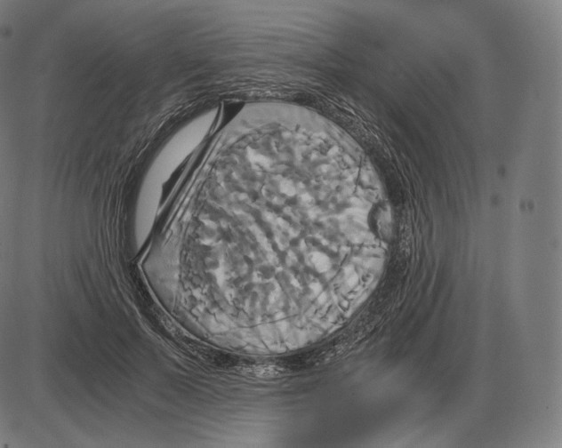 X0000084010695200703161714