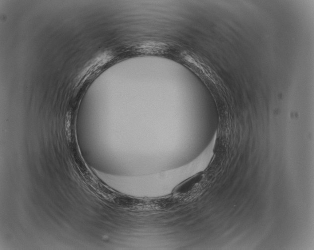 X0000084010696200703161714