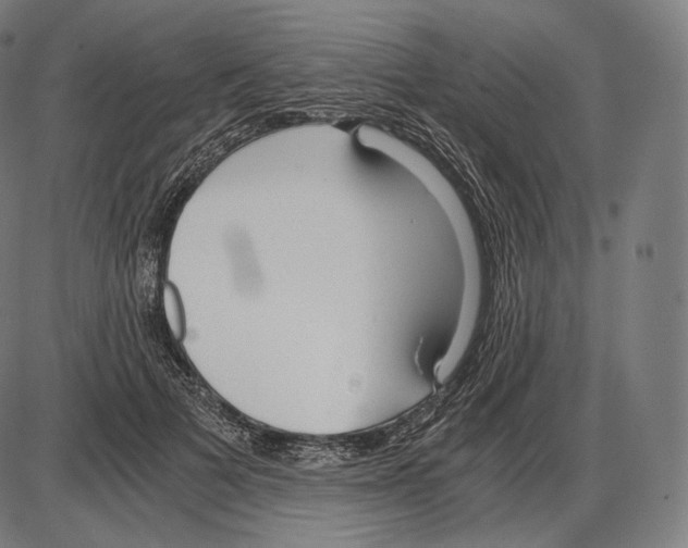 X0000084010697200703161714