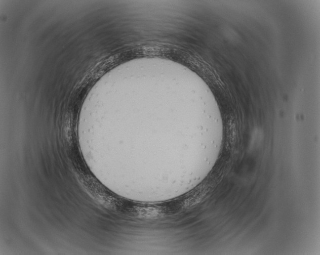 X0000084010698200703161714