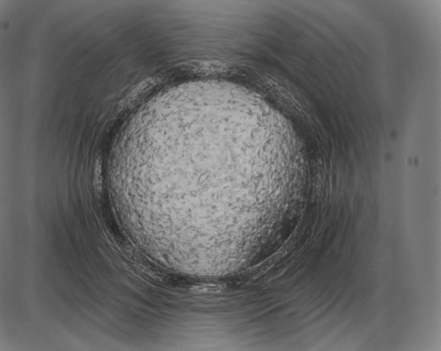 X0000084010700200703161714
