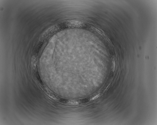 X0000084010701200703161714