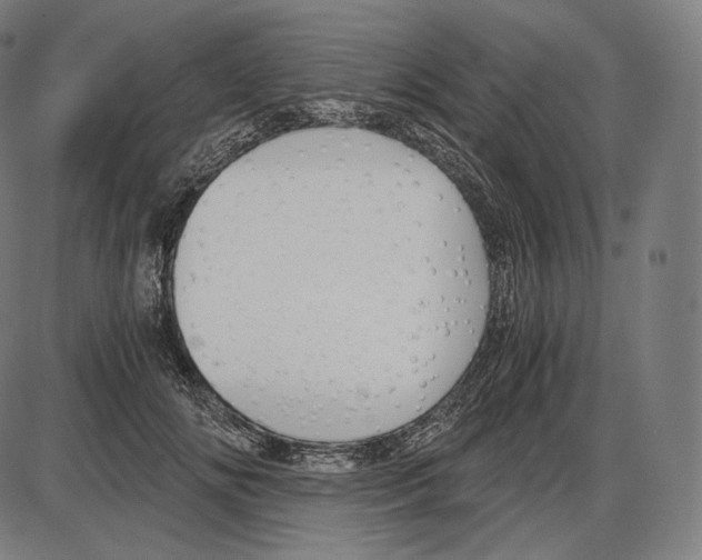 X0000084010702200703161714