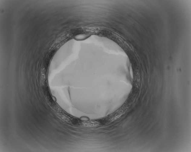 X0000084010707200703161714