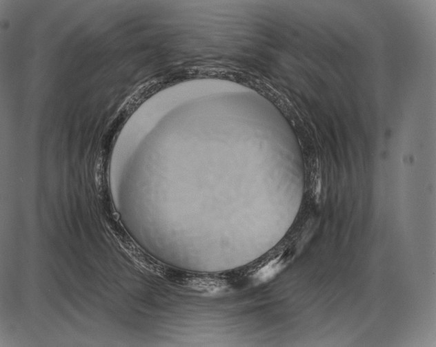 X0000084010708200703161714