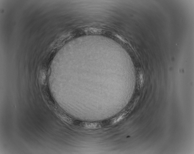 X0000084010709200703161714