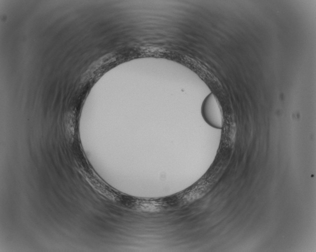 X0000084010710200703161714