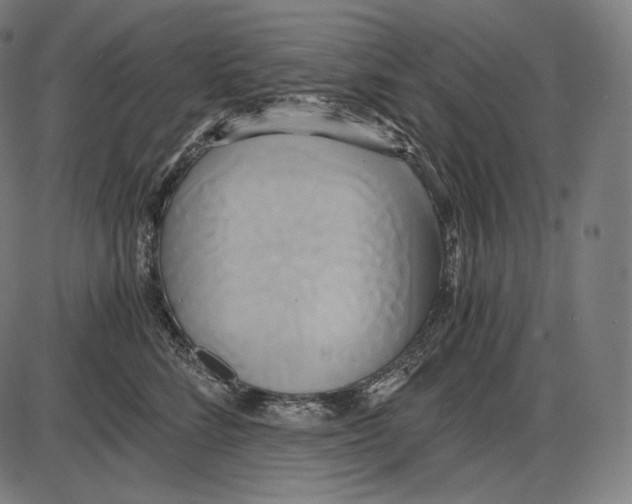 X0000084010712200703161714