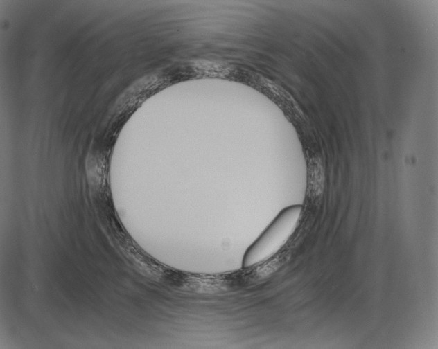 X0000084010713200703161714