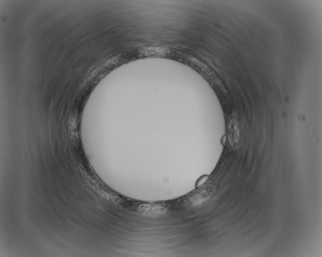 X0000084010714200703161714