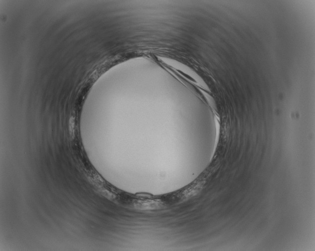 X0000084010716200703161714