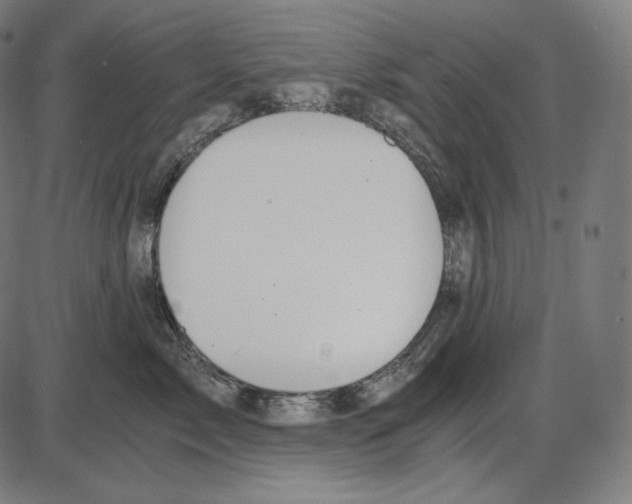 X0000084010717200703161714