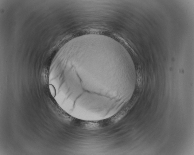 X0000084010718200703161714