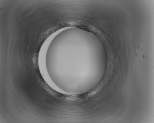 X0000084010720200703161714