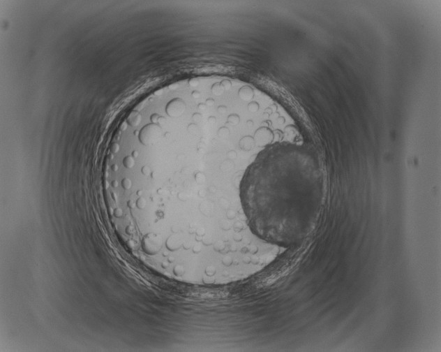 X0000084010721200703161713