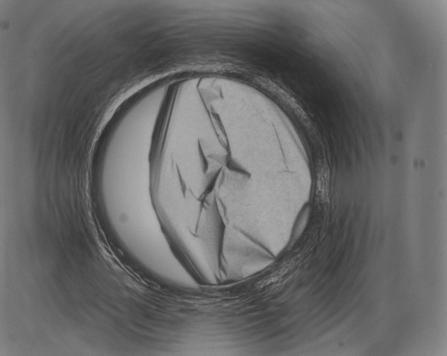 X0000084010724200703161713