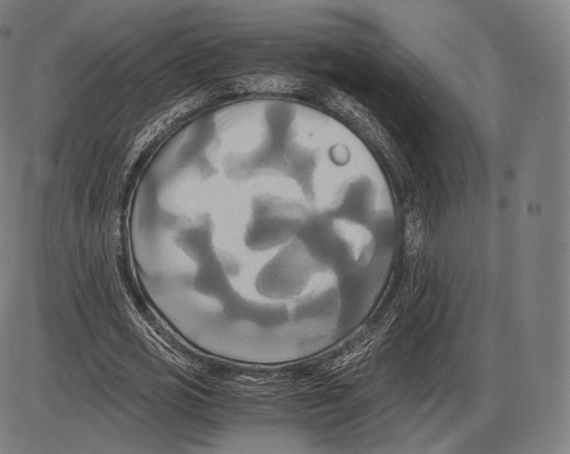 X0000084010725200703161713