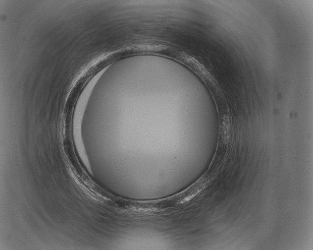 X0000084010726200703161713