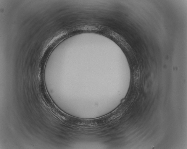 X0000084010727200703161713