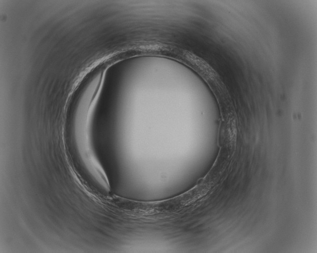 X0000084010728200703161713