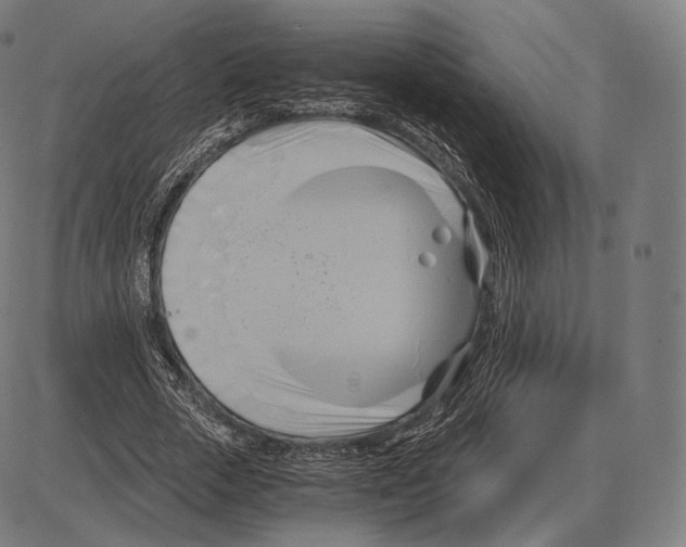 X0000084010729200703161713