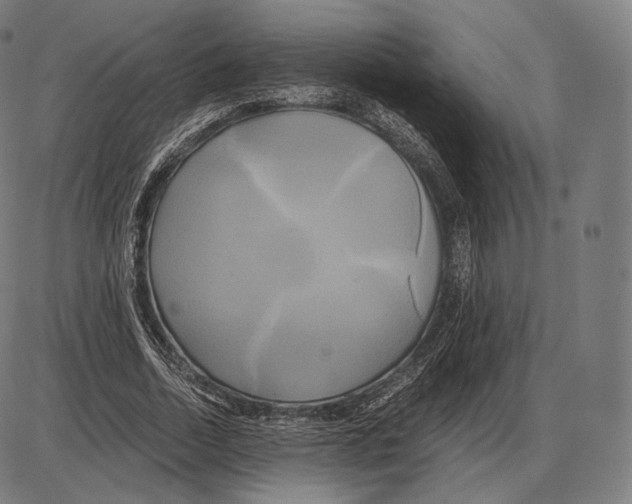 X0000084010730200703161713