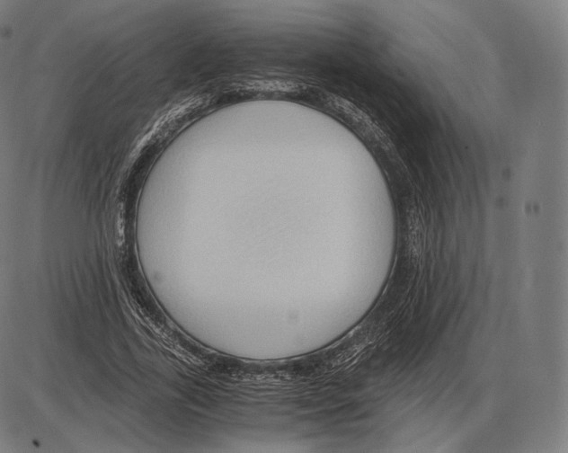 X0000084010731200703161713