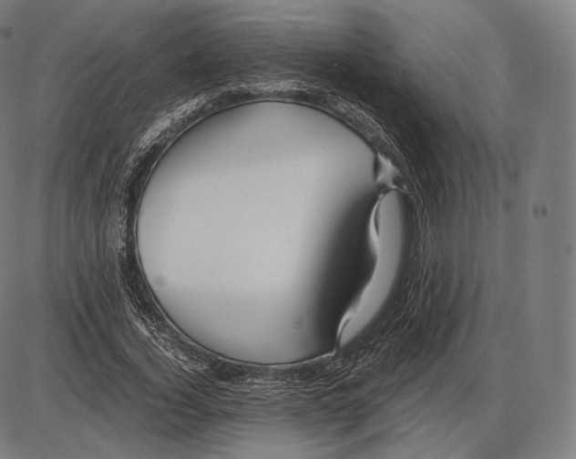 X0000084010732200703161713