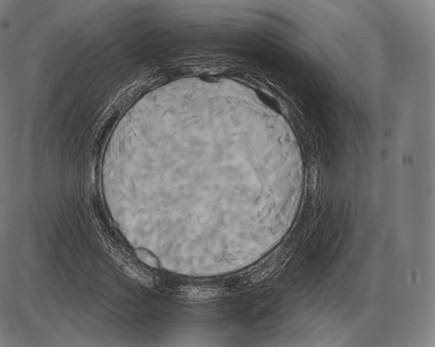 X0000084010733200703161713