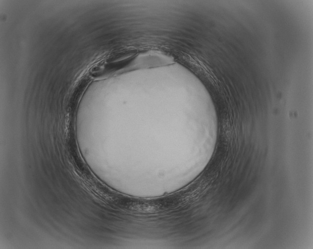 X0000084010735200703161713