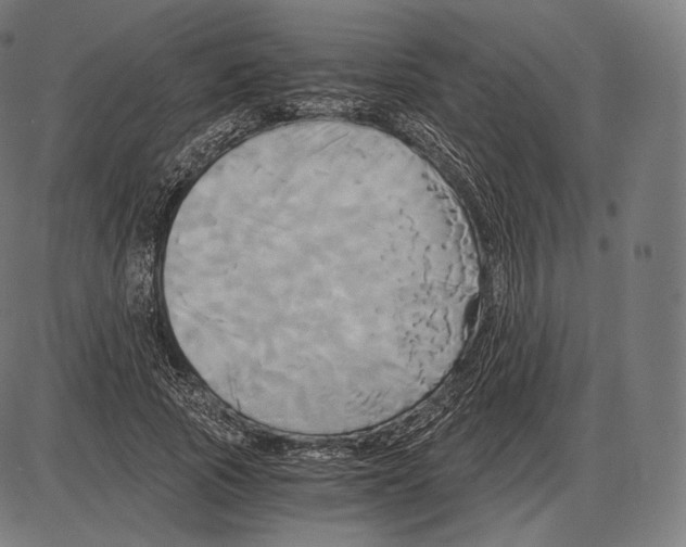 X0000084010737200703161713