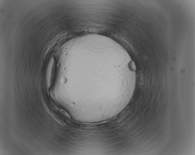 X0000084010738200703161713