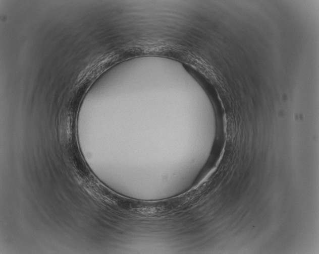 X0000084010740200703161713